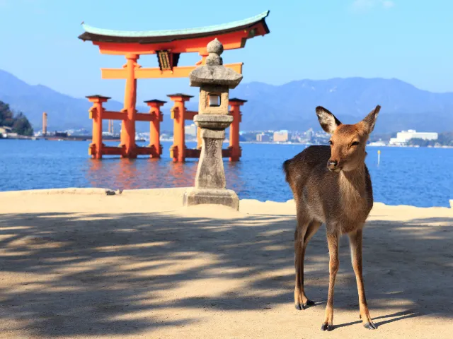 宮島の鳥居と鹿