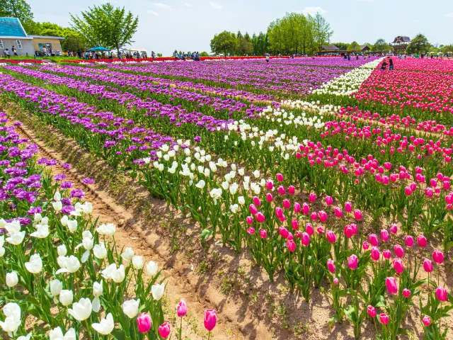 県北の豊かな自然と山々